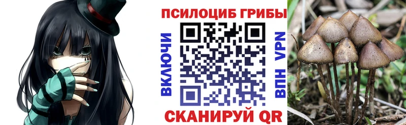 Псилоцибиновые грибы Psilocybine cubensis  ссылка на мегу вход  Кушва 
